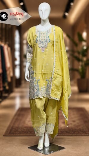 3-Piece Salwar Kameez Suit