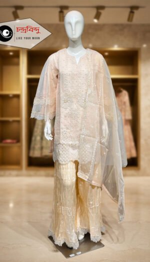 3-Piece Party Wear Farshi Suit Suit