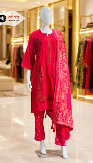 3-Piece Salwar Kameez Suit